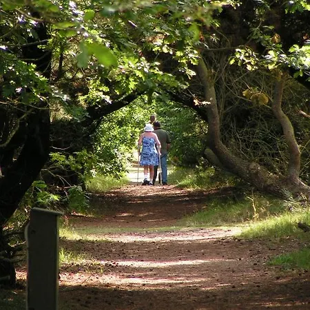 Nystrup Camping & Cottages Camping